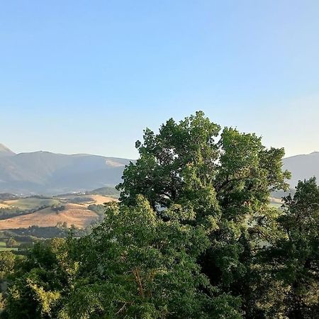 Pigno, Appartamento In Campagna Cagli Exteriér fotografie
